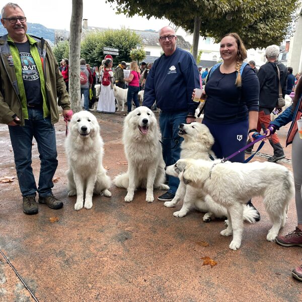 Rodinné setkání - Alba, Astazou, Cosaldor, Cara Ursita