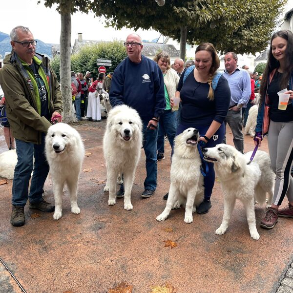 Rodinné setkání - Alba, Astazou, Cosaldor, Cara Ursita