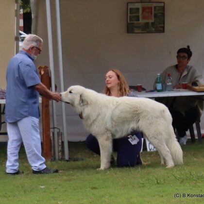 Astazou "Míša" s panem rozhodčím Pecoultem