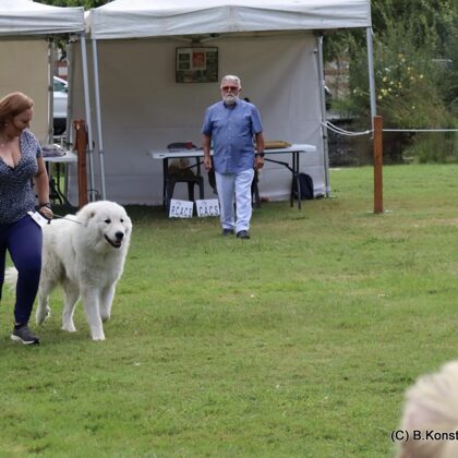 Astazou "Míša" s panem rozhodčím Pecoultem