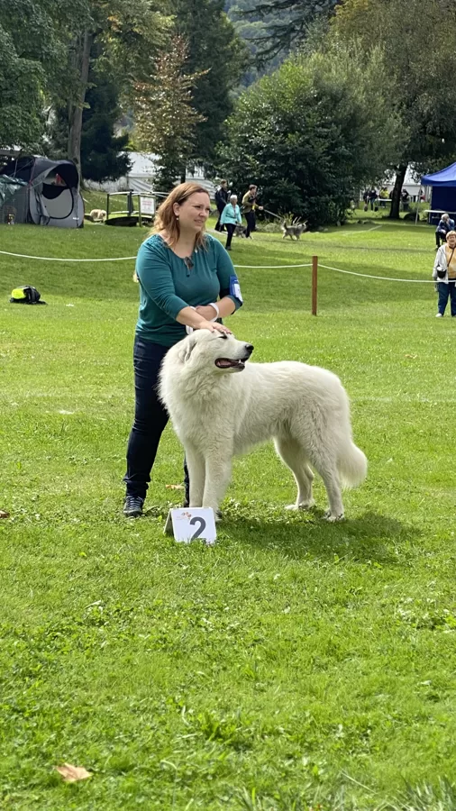 Míša