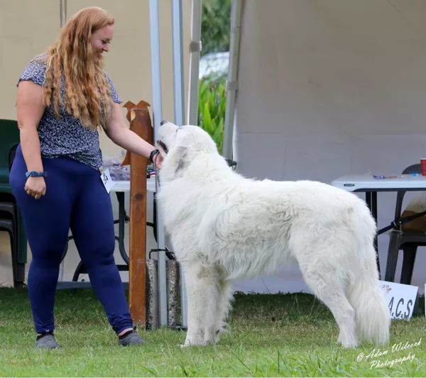 Astazou "Míša"