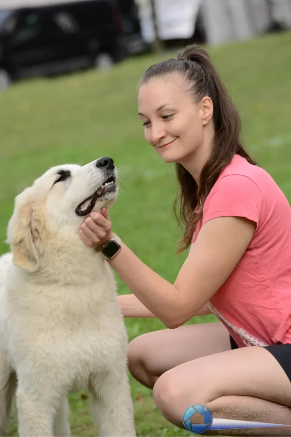 Baru a Domča