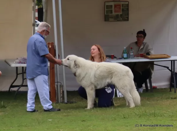 Astazou "Míša" s panem rozhodčím Pecoultem