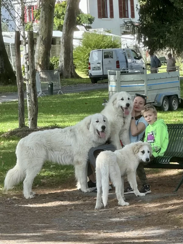 V "Parc de Casino" 